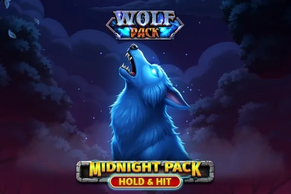 Midnight Pack - Hold & Hit